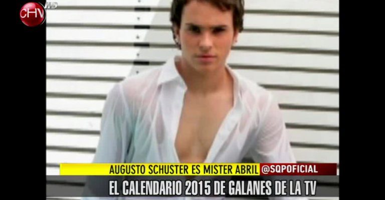 Famosas los eligen: armamos el calendario 2015 con los más guapos de la TV