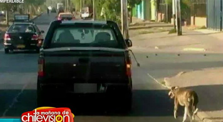 Maltrato animal: Perro es arrastrado por un auto