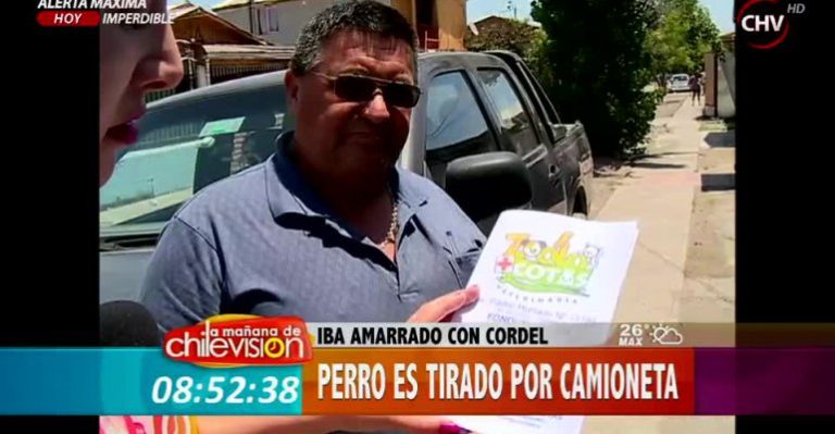 Acusado de maltrato animal se defiende: 