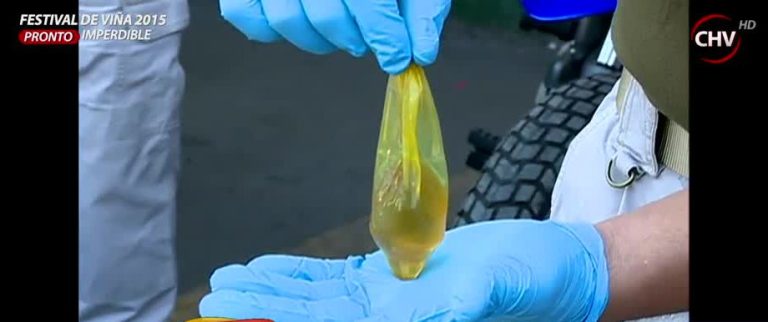 800 mil pesos les pagaron a peruanos por tragarse 111 ovoides de droga (2/2)