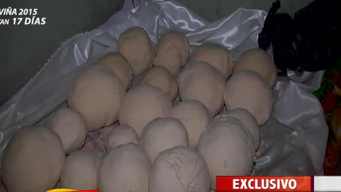 Banda “Los maestros de la droga” aumentaban la droga con tiza