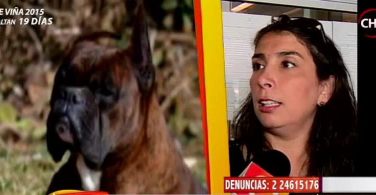 Karla Rubilar recurre a la justicia luego de extraña muerte de su mascota