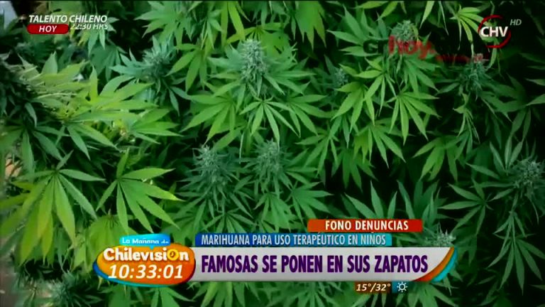 Famosas apoyan uso de marihuana para uso terapéutico en niños (1/2)