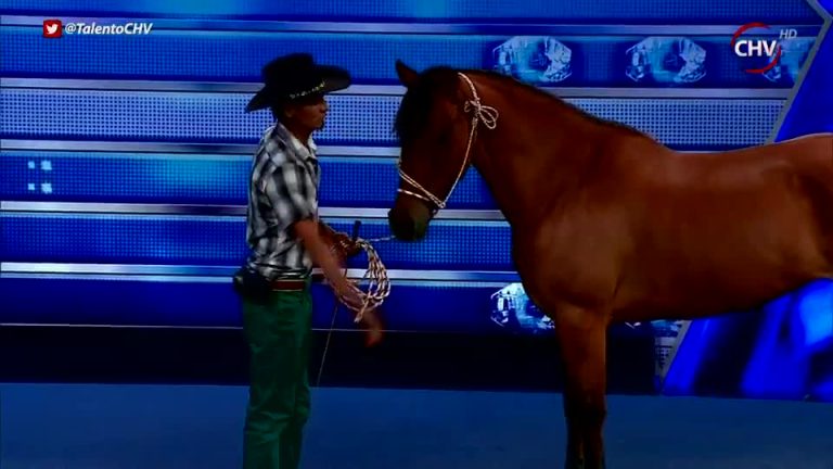 Talento Chileno | Capítulo 25 de marzo (Parte 4)