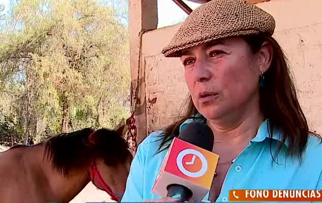 La actriz Esperanza Silva sufrió el robo de sus caballos que ayudaban a niños con terapia