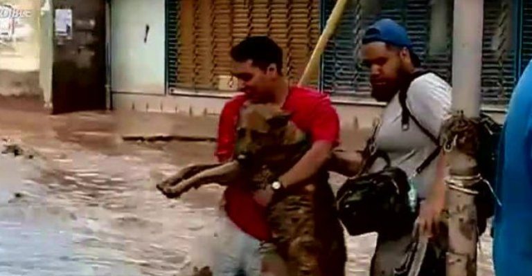 Jóvenes se unen para ayudar a mascotas afectadas por las lluvias del norte