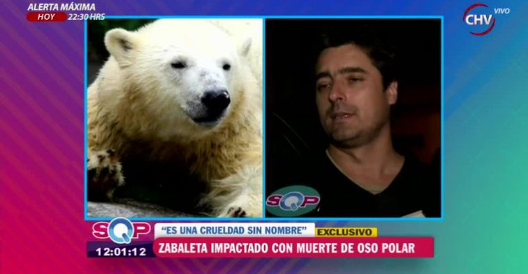 Jorge Zabaleta tildó de 