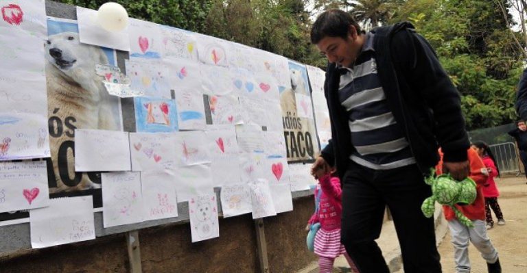 ¿Cómo pedir que aumenten la pensión de alimentos?