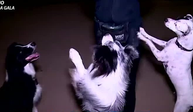 Chilenos ganan dinero extra con empleos alternativos