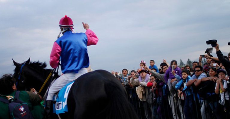 El costoso gusto de los narcos por caballos pura sangre