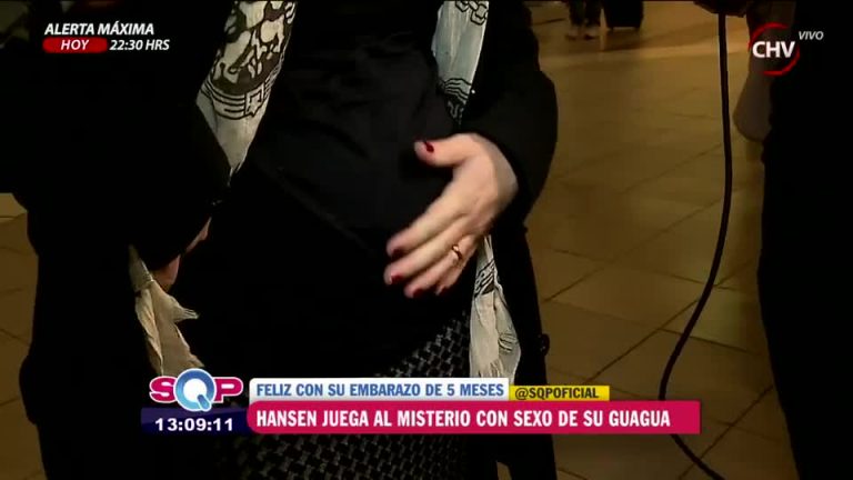 Fernanda Hansen mostró por primera vez su guatita de embarazada