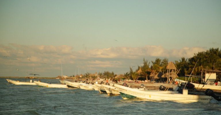 Islas del Mundo | Capítulo 7 de junio | Holbox - México - Parte 4