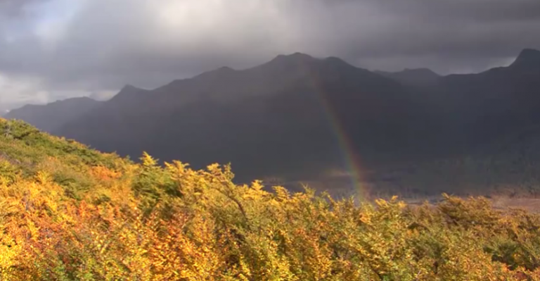 Entérese cómo obtener una parcela gratis en Tierra del Fuego