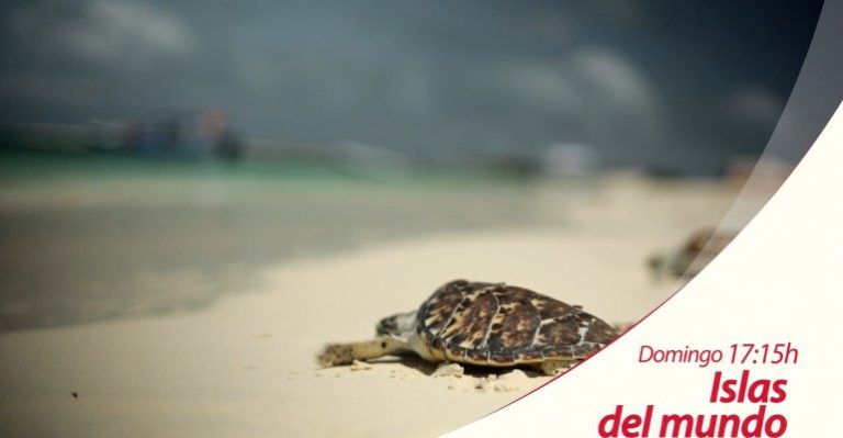 Los Roques- Venezuela será el nuevo destino de Sol Leyton en Islas del Mundo