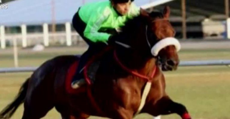 Polémica ha generado el nombre que le puso Arturo Vidal a uno de sus caballos