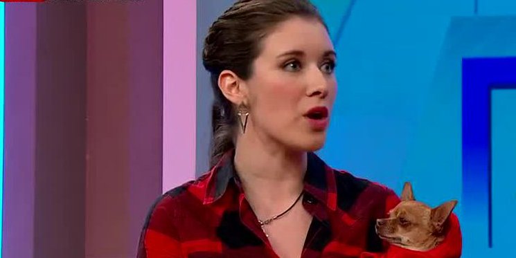 Las mascotas de los famosos: Carla Jara y sus chihuahuas - Parte 1