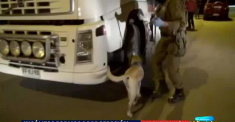 Las cinematográficas formas en que se atrapan a los narcotraficantes