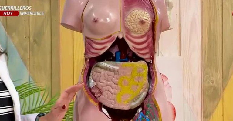 Gastroenteróloga explicó todos los detalles sobre el cáncer de colon y el colon irritable