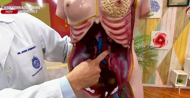 Especialista explicó detalles de para saber todo sobre los cálculos renales - Parte 1