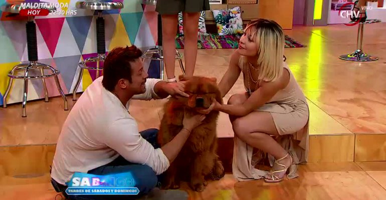 Sabrina Sosa mostró a su mascota regalona en Sabingo