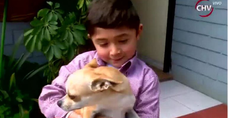 Los cuidados a tener en cuenta en una relación de un niño con su mascota