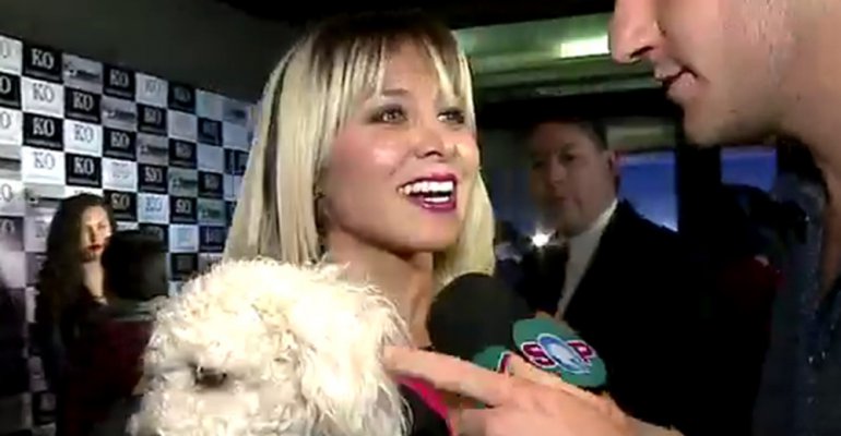 Famosos y perros desfilaron en la alfombra roja de 