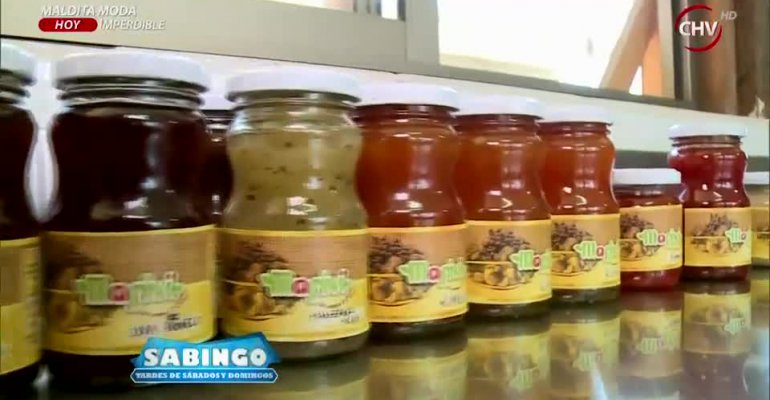 Caro Mestrovic en busca de lo más dulce en Isla de Maipo