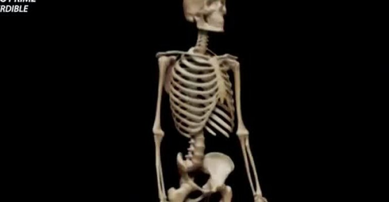 Médico geriatra explicó por qué duelen los huesos - Parte 1