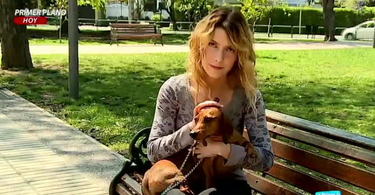 Mujer acusa agresión a su perrita por parte de clínica veterinaria