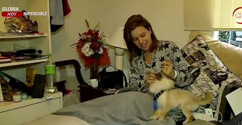 Kathy Bodis cuenta cómo fue el accidente con un perrito al que quiso ayudar