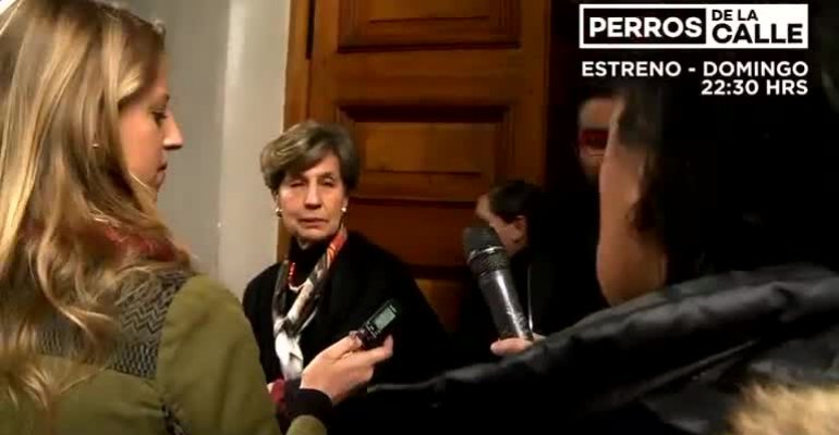 No te pierdas Perros de la Calle que comienza este domingo 8