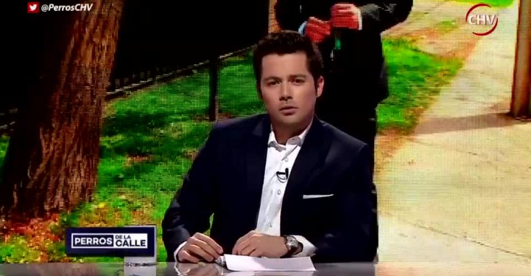 Perros de la Calle | Capítulo 8 de noviembre - Parte 2