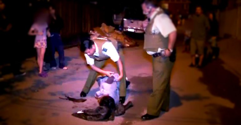 Alerta Máxima | Capítulo 16 de diciembre - Parte 1