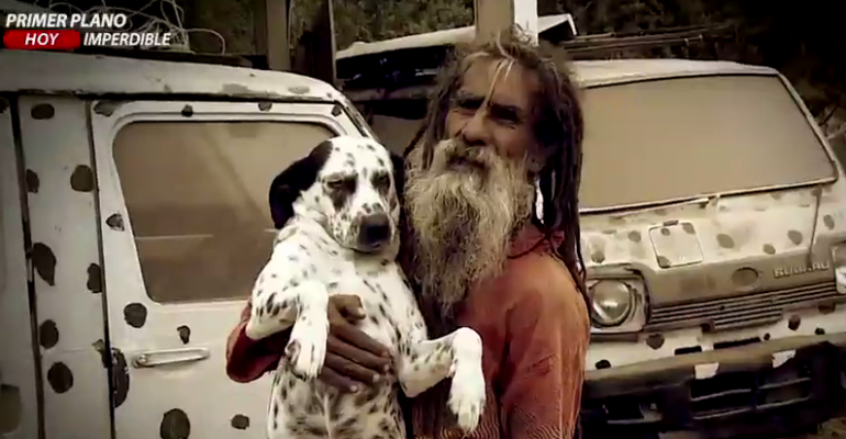 Hombre sueña con llegar a tener 101 perros Dálmatas