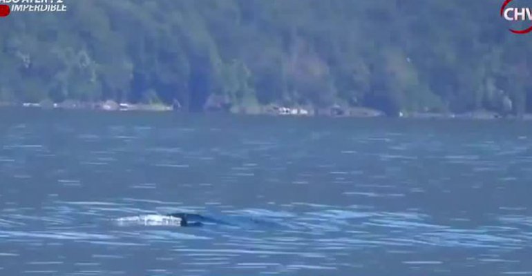 Guatón Salinas fue al sur del país a buscar el monstruo del Lago Colico