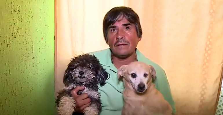 Conozca la historia del auxiliar de aseo que recoge perros de la calle - Parte 1