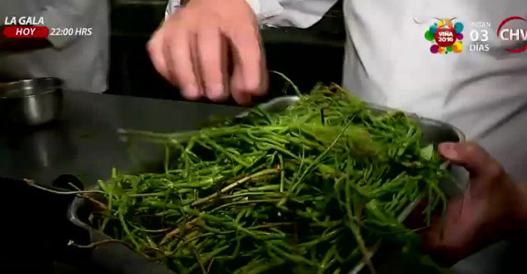 Gala 2016: El menú para una de las noches más importantes del verano