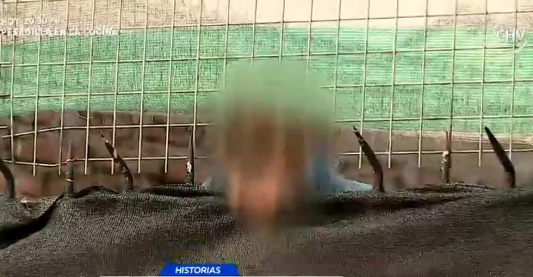 Abuelo se encuentra encerrado y sin comida en Conchalí