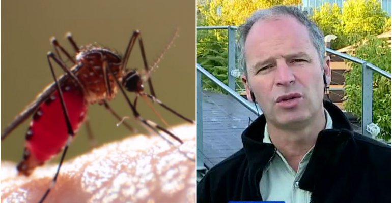 Mosquito del Zika habría sido detectado en Arica