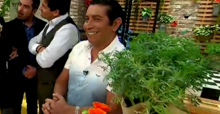 Alejandro Ayún explicó el significado de las plantas de casa - Parte 1