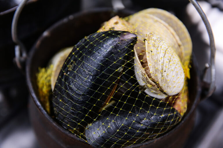 Pulmay o Curanto en Olla - Parte 2