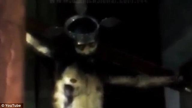 Figura de Jesús abrió los ojos en capilla de México