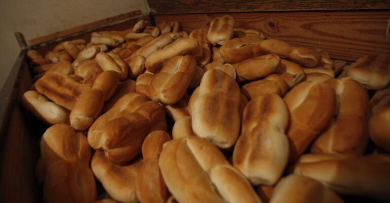 Marraqueta podría desaparecer por nivel de sal