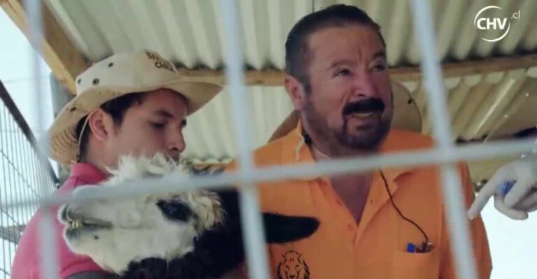 Mira un avance de El Jefe en tus Zapatos: este miércoles en Parque Safari