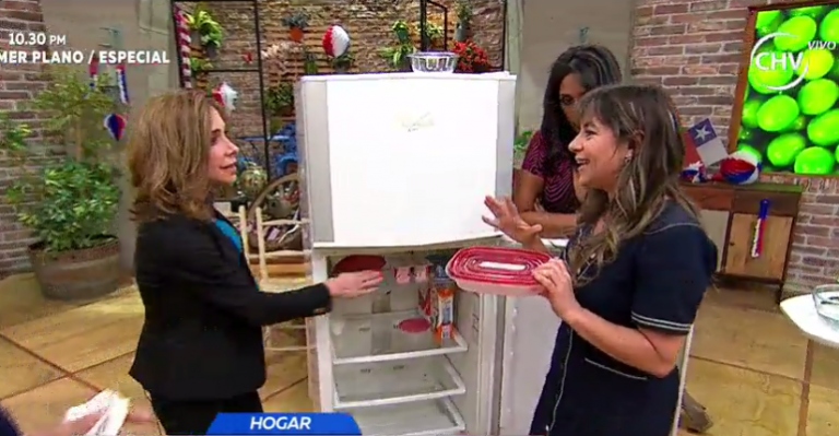 Sepa cómo organizar y limpiar un refrigerador correctamente
