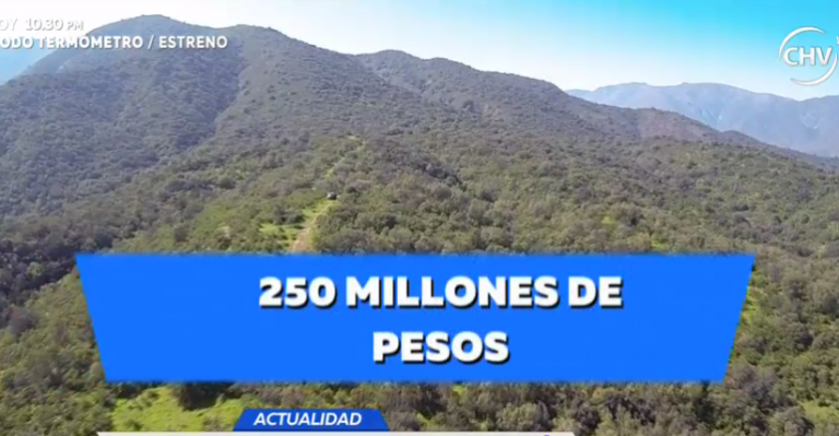 ¿Secta en Curacaví? : Moneda, leyes y autocultivo de comida