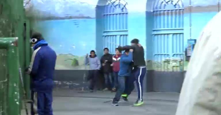 Nuevos allanamientos y operativos este jueves en Alerta Máxima