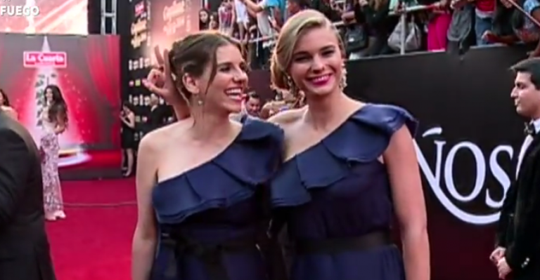 Famosas criticadas por sus look en los Copihue de Oro