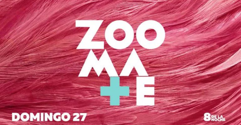 Zoomate: no te pierdas el gran estreno este domingo a las 20 horas