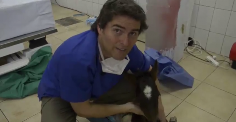 Sebastián Jiménez te invita a ser parte del nuevo programa Zoomate